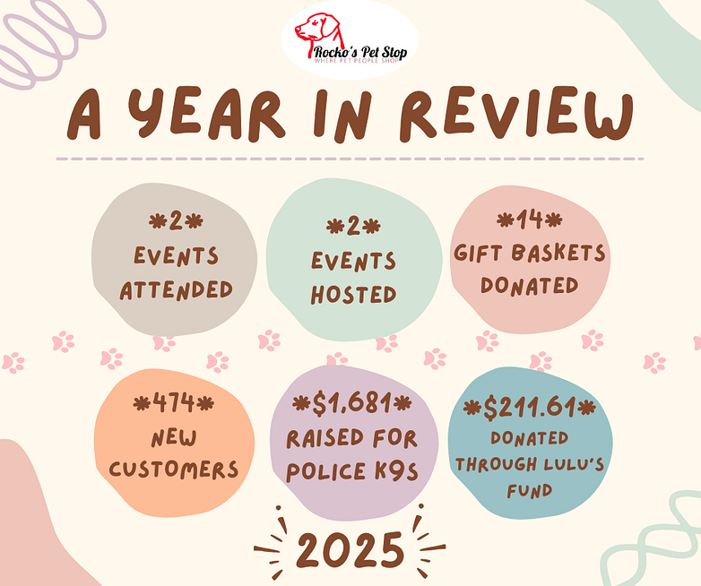A Year In Review 2025